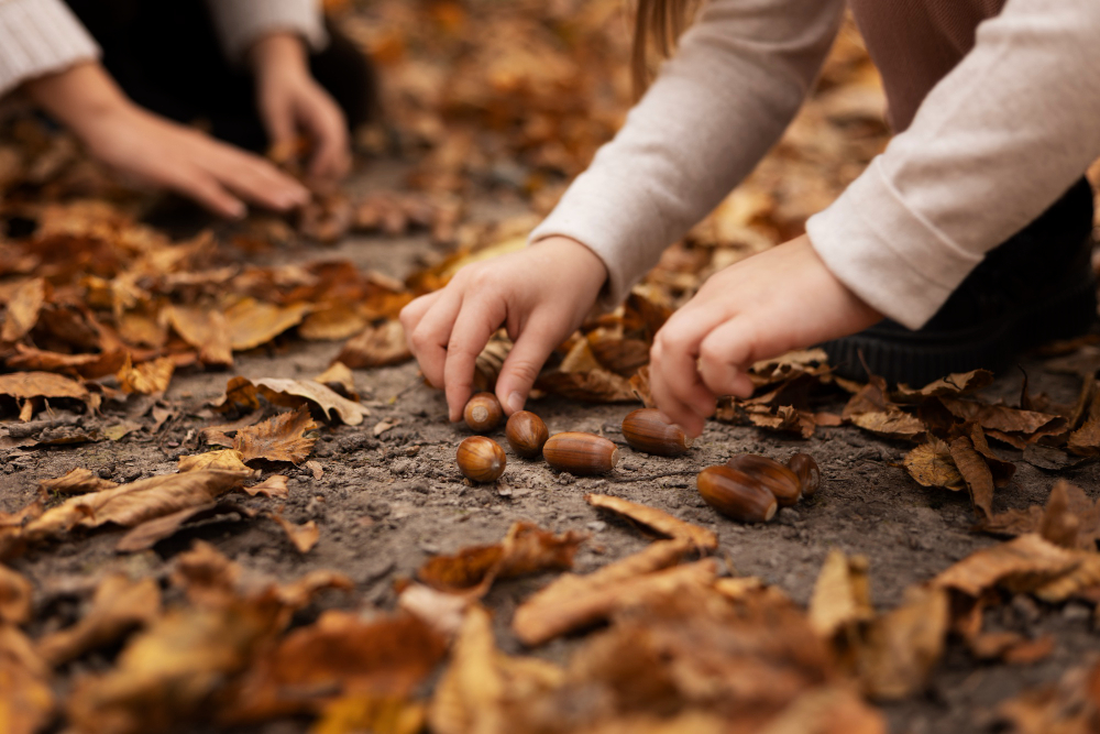 Autumn in kindergarten: experiment with natural materials.