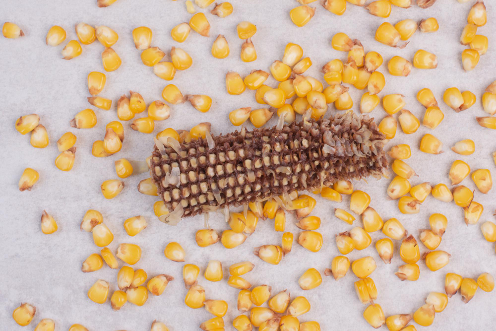 Autumn pregraphics: five activities with corn for the kindergarten.