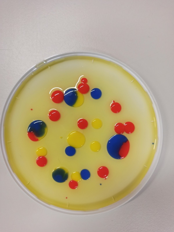 piattino con olio e gocce di acqua colorata